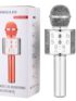 Handheld WS-858 Wireless Karaoke Microphone